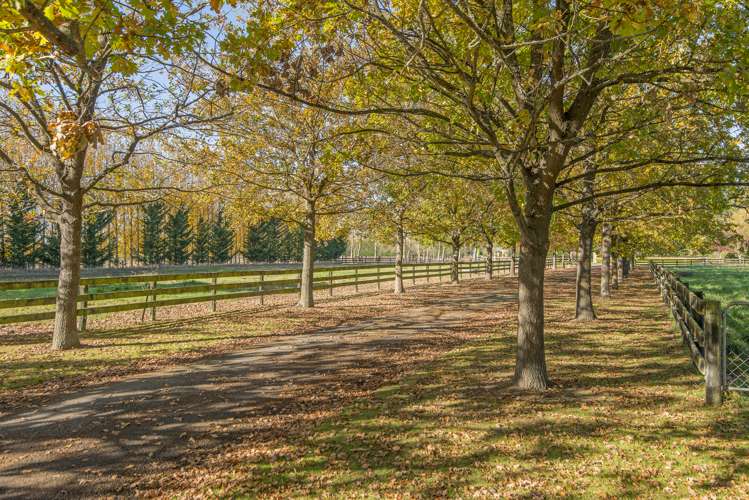 235 Jacksons Road Ohoka_19