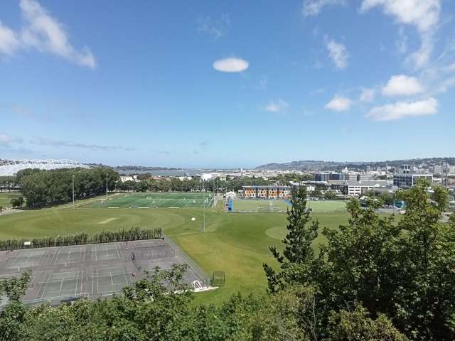 2/1 St Abbs Place North Dunedin_4