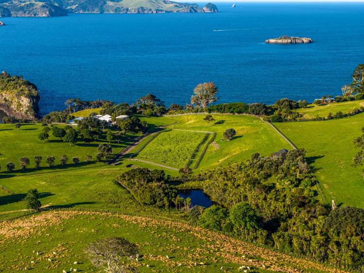 Share 18 Moturoa Island Russell_12