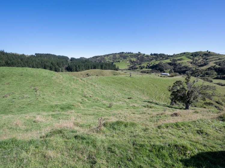 Kaitieke Road Owhango_17