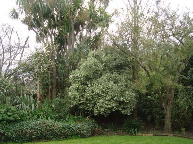 82b Bryndwr Road Bryndwr_3