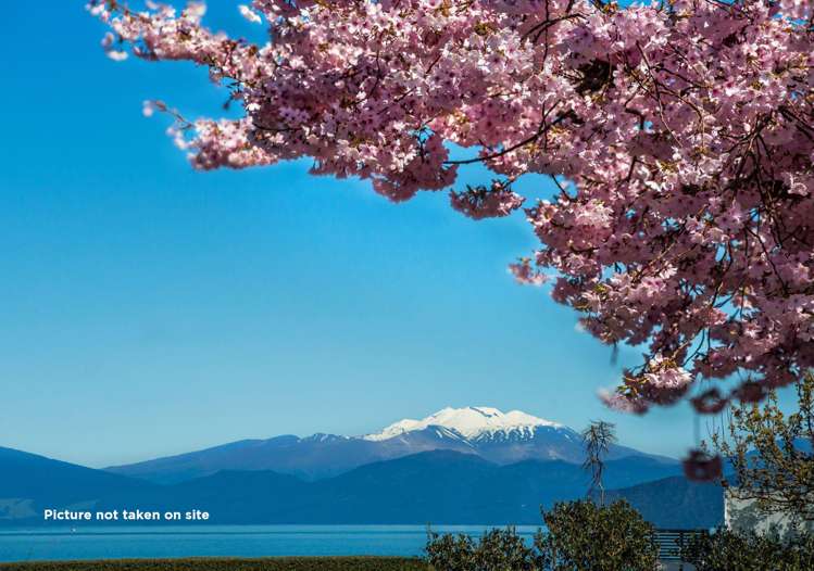 84 Montgomery Crescent Kinloch_9