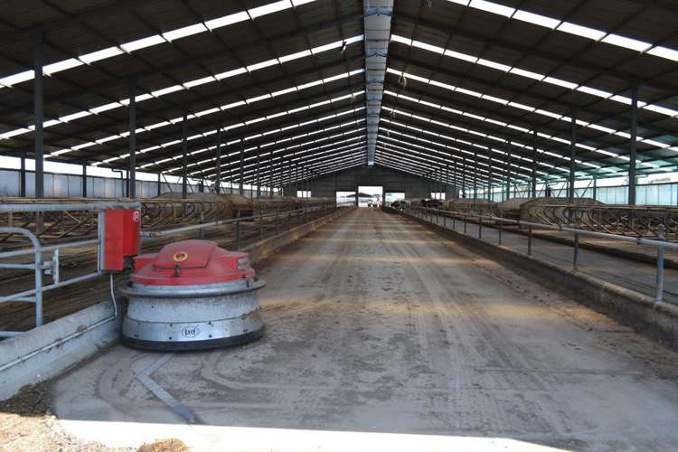 139 Phar Lap Road Seadown_5