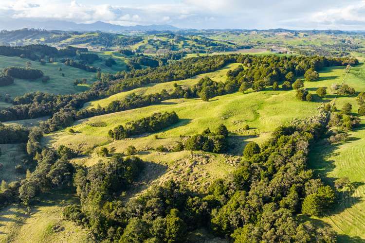 85 Lusk Road Ruawai_11