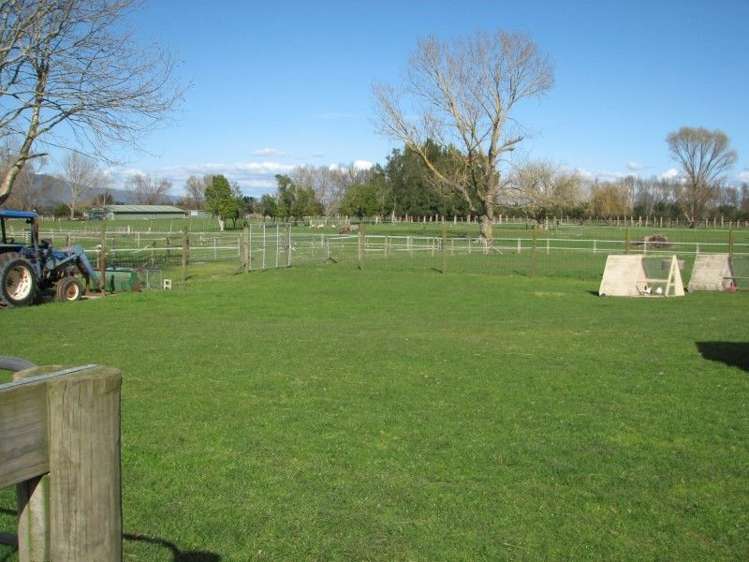 44 Racecourse Road Te Aroha_4