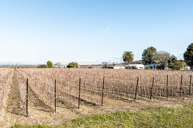 85 College Street Motueka_19