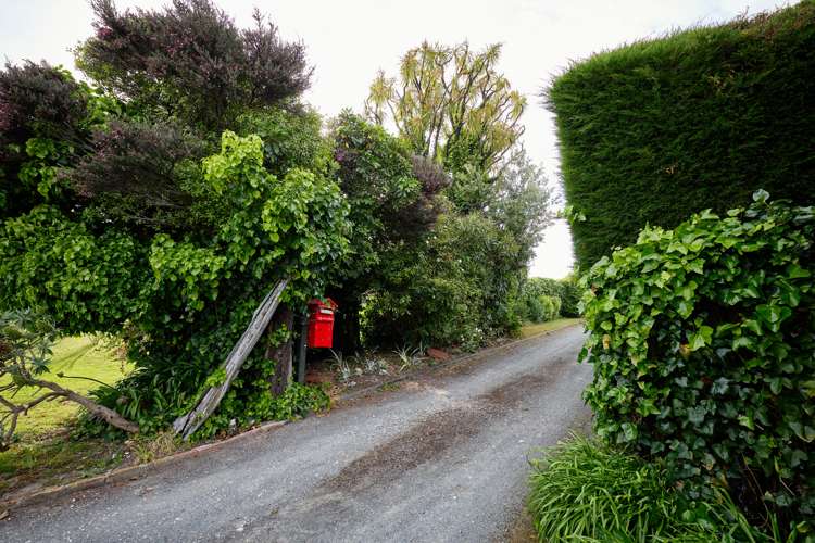 12 Deal Street Kaikoura_57