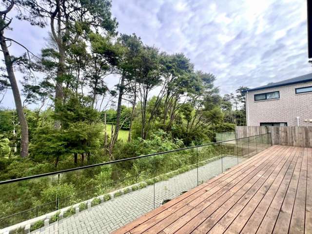 36 Patrick Rice Drive Swanson_3