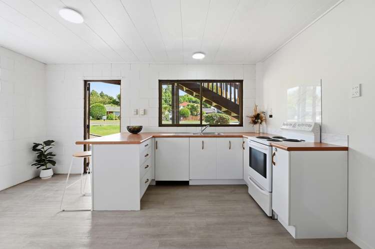 115 Springfield Road Springfield_14