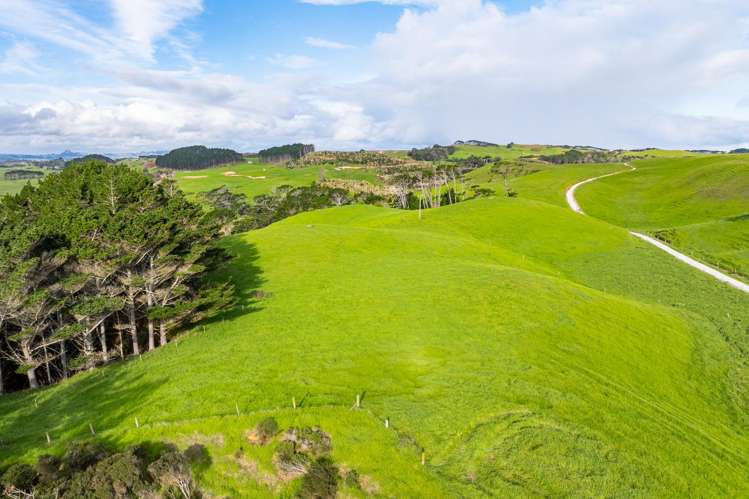 Lots 2, 3 and 4 Mahuta Road Dargaville_17