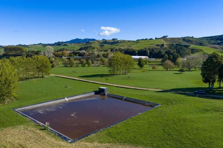 141 Te Mata Road Raglan_17