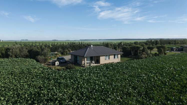 803 Ardlui Road Te Pirita_21