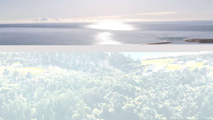 23 Duncan Mcfarlane Road Jackson Bay_20