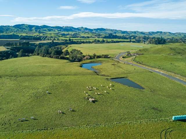 2152 Puketitiri Road Central Hawkes Bay Coastal_1