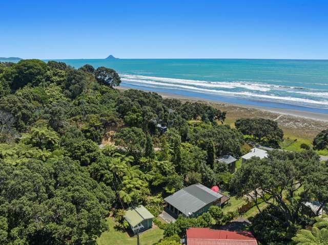 233 Ohiwa Beach Road Opotiki and Surrounds_4