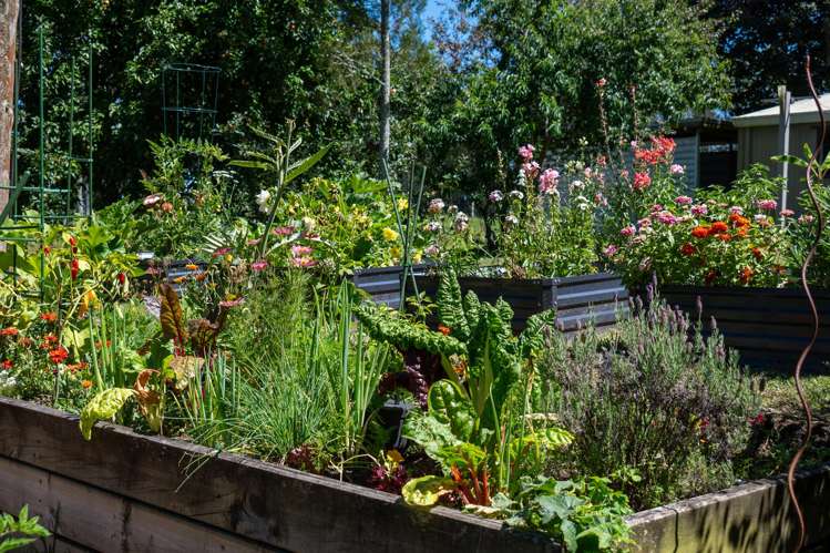 202 Ngamotu Road Rerewhakaaitu_24