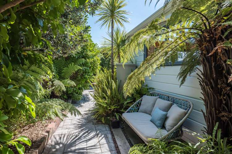 48a Darlington Road Miramar_15