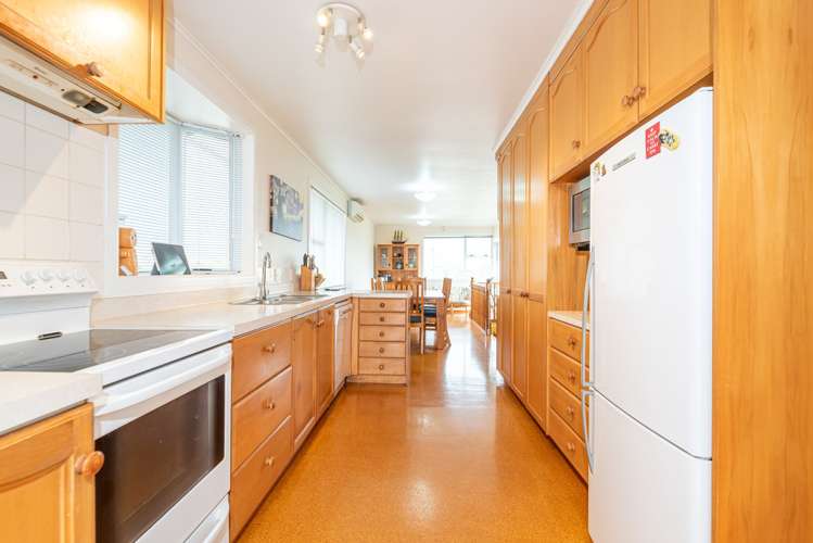 57 Ellis Avenue Mount Roskill_2