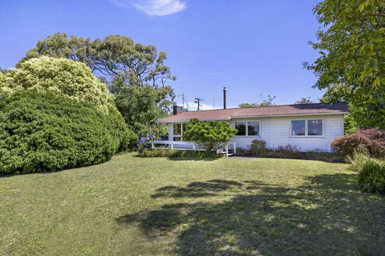 14b Greenslade Road Raglan_45