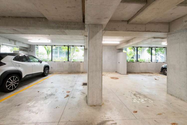 425 Murphys Road Flat Bush_8