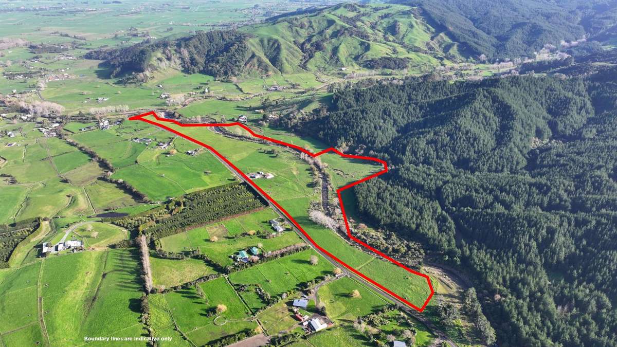 131 Puriri Valley Road_0