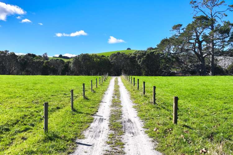 97 Sharp Road Matakana_44