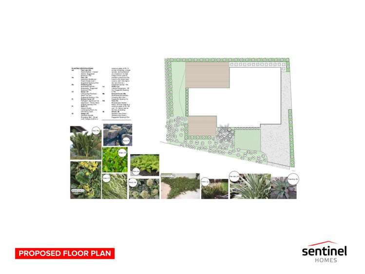 Lot 8/99 Citrus Ave, Waihi Beach_3