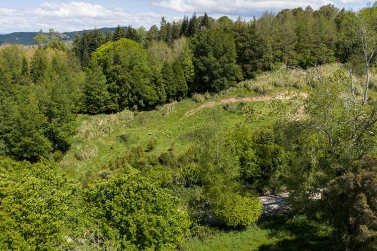 Lot 3 Old Coach Road Te Pohue_5