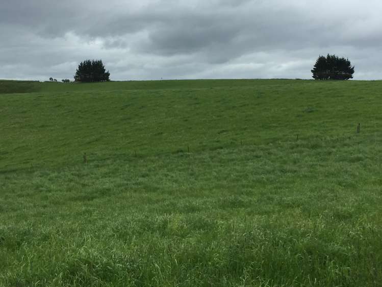 46 Clarkes Road, Glenledi Milton_20