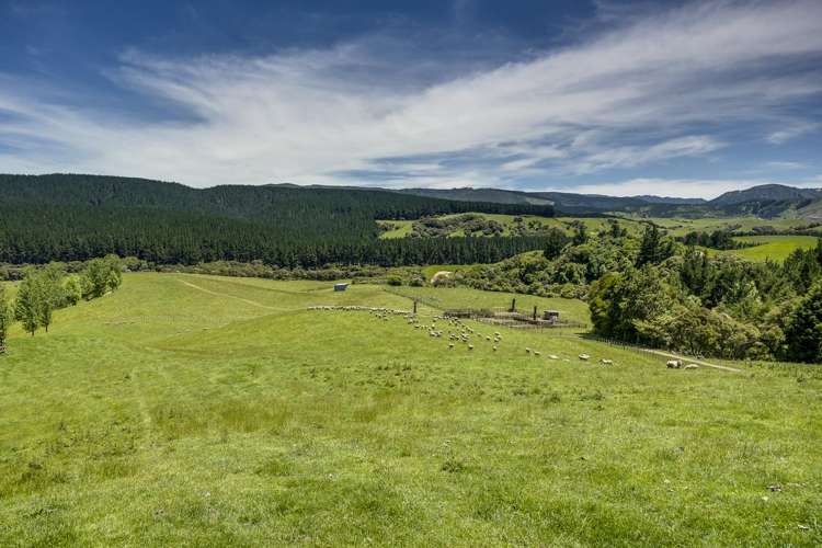 1127 Glenross Waiwhare_12