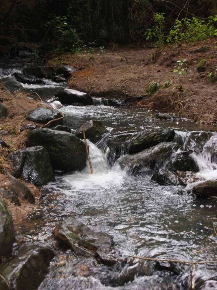 46 Morrisons Road Little River_15