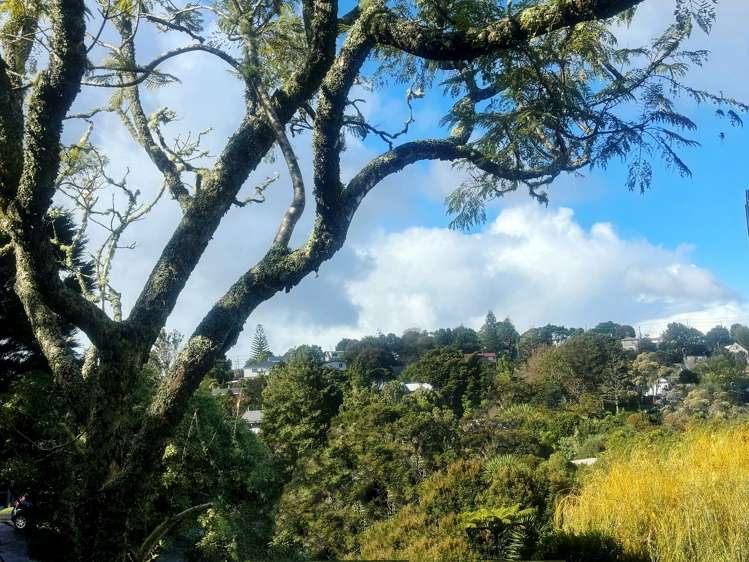 110 Canongate Street Birkdale_3