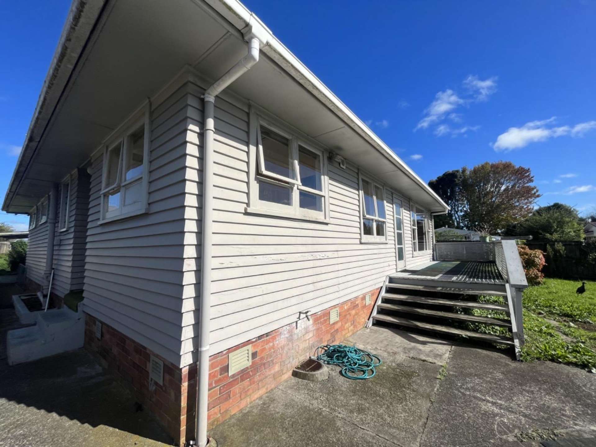 265 rosebank road Avondale_0