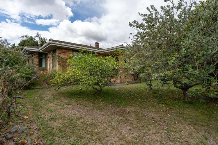 56 Peachgrove Road Hamilton East_10