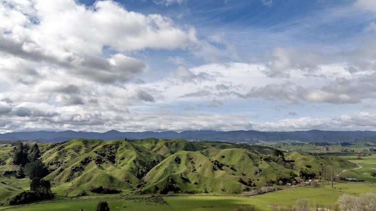 169 Addison Road Waimana_8