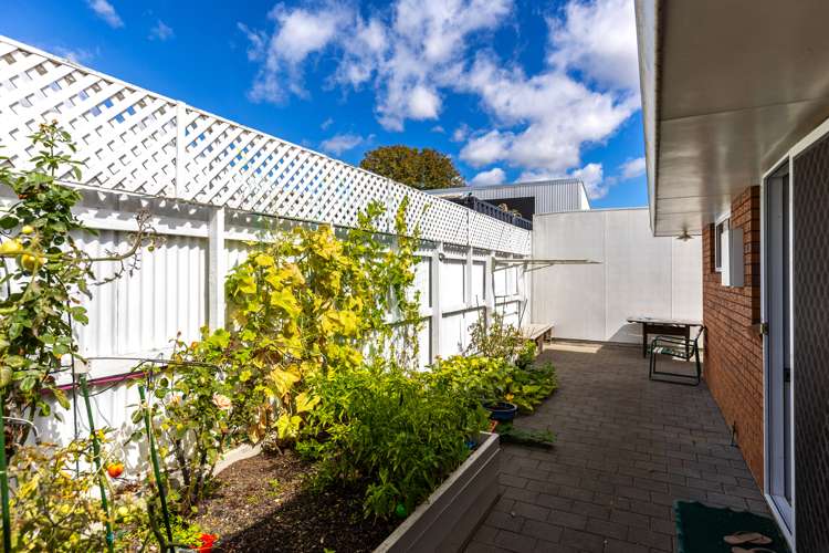 3a Andrew Street Blenheim Central_16