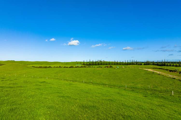 1000 Redhill Road Te Kopuru Kaipara Rural Property For Sale One