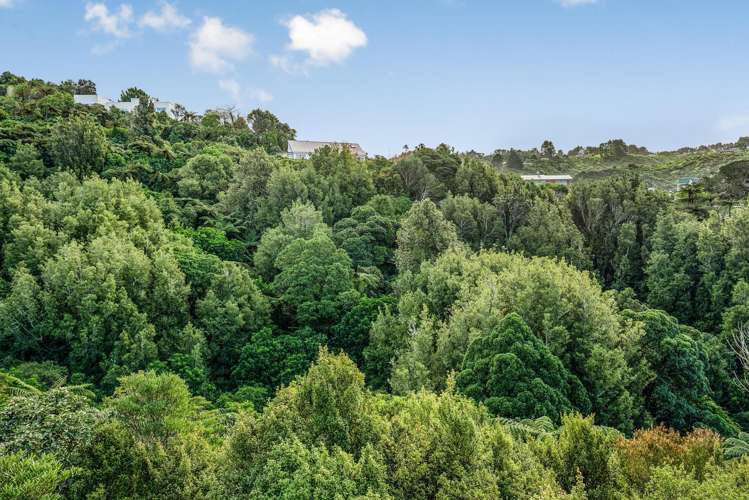 31 Pae Ariki Place Normandale_28