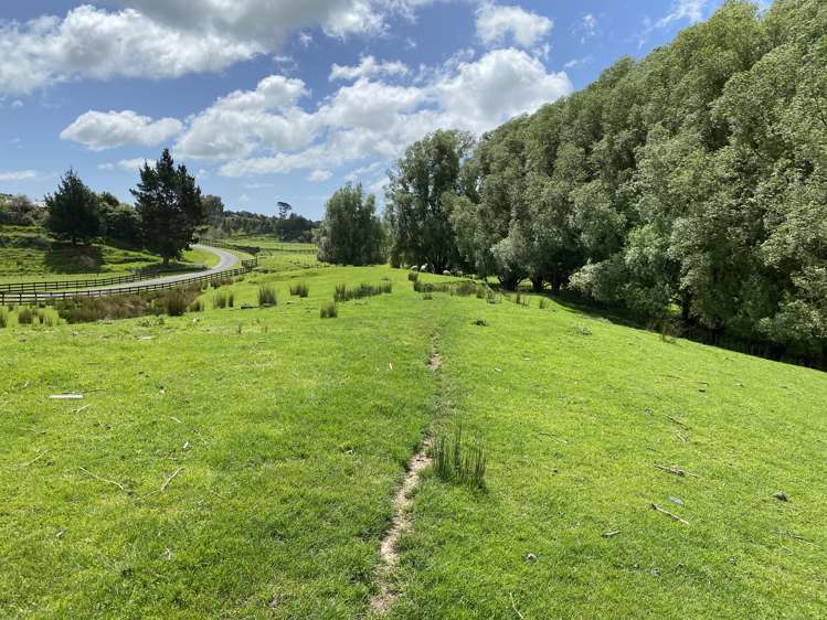 9 Buckley Road Shannon_5