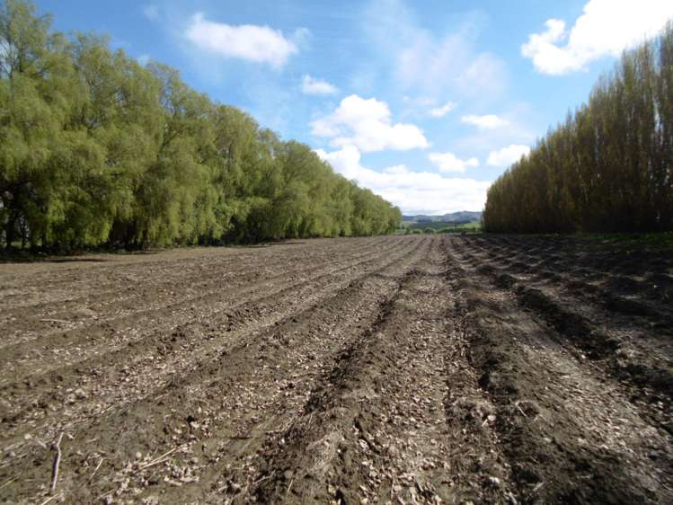 5326 Hampden-Palmerston Road Palmerston_17