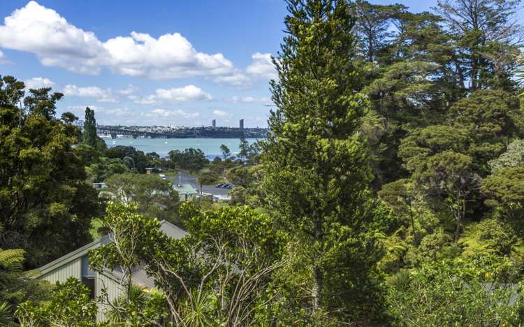 19 Wilding Avenue Northcote Point_6