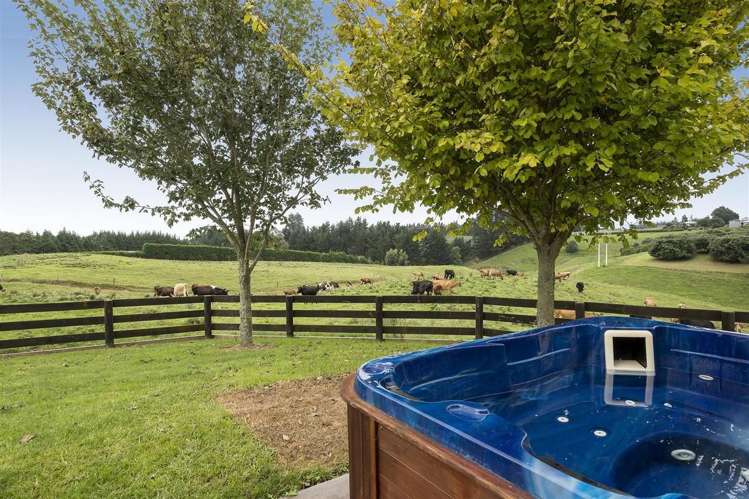 87 Busby Road Hauraki Surrounds_19