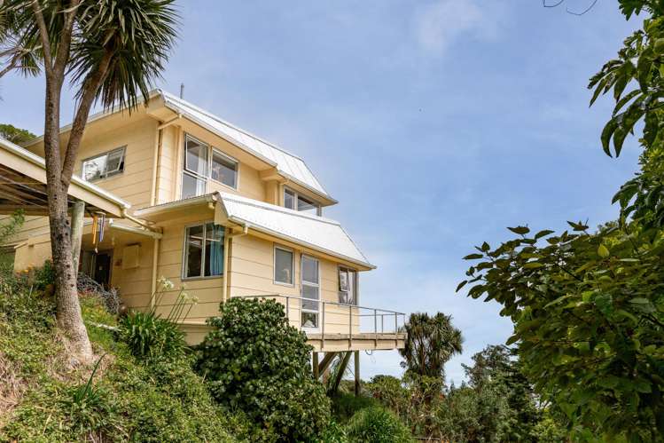 280 Nikau Road, State Highway 67 Nikau_3