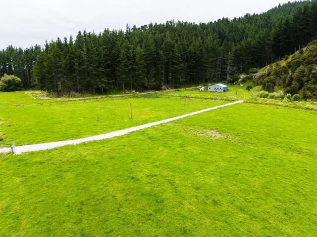 1247 Wharekopae Road Ngatapa_4