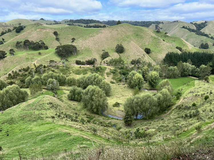 501 Kihi Road Otorohanga_25