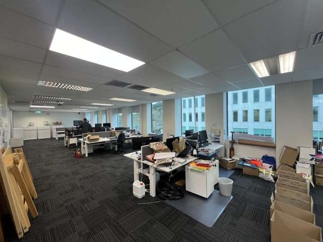 18 Normanby Road Mount Eden_4