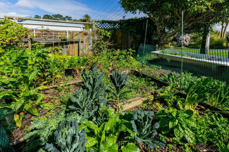 39 Woodlands Crescent Browns Bay_21