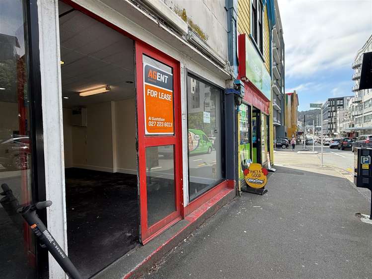 138 Vivian Street Te Aro_13