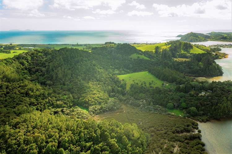 1860 Pataua North Road Pataua_15