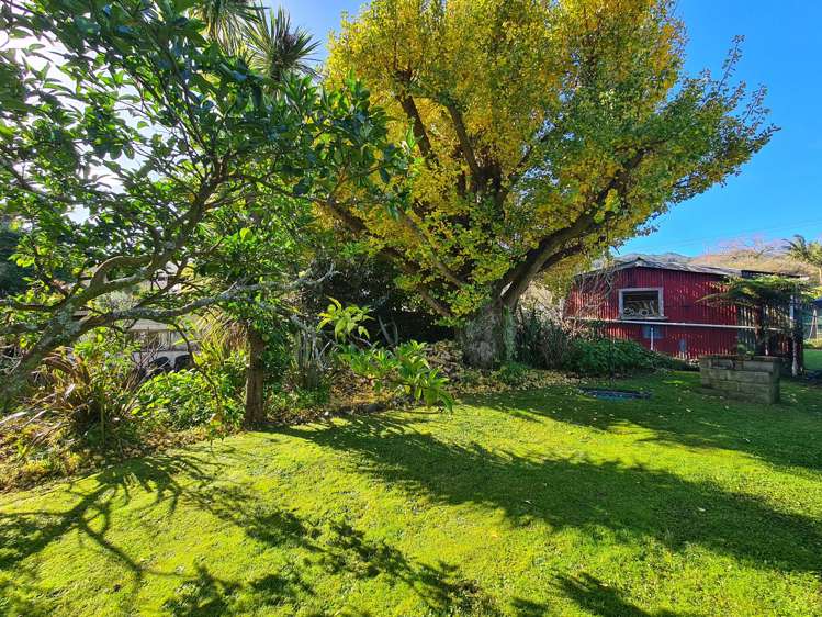 15 Driving Creek Road_3